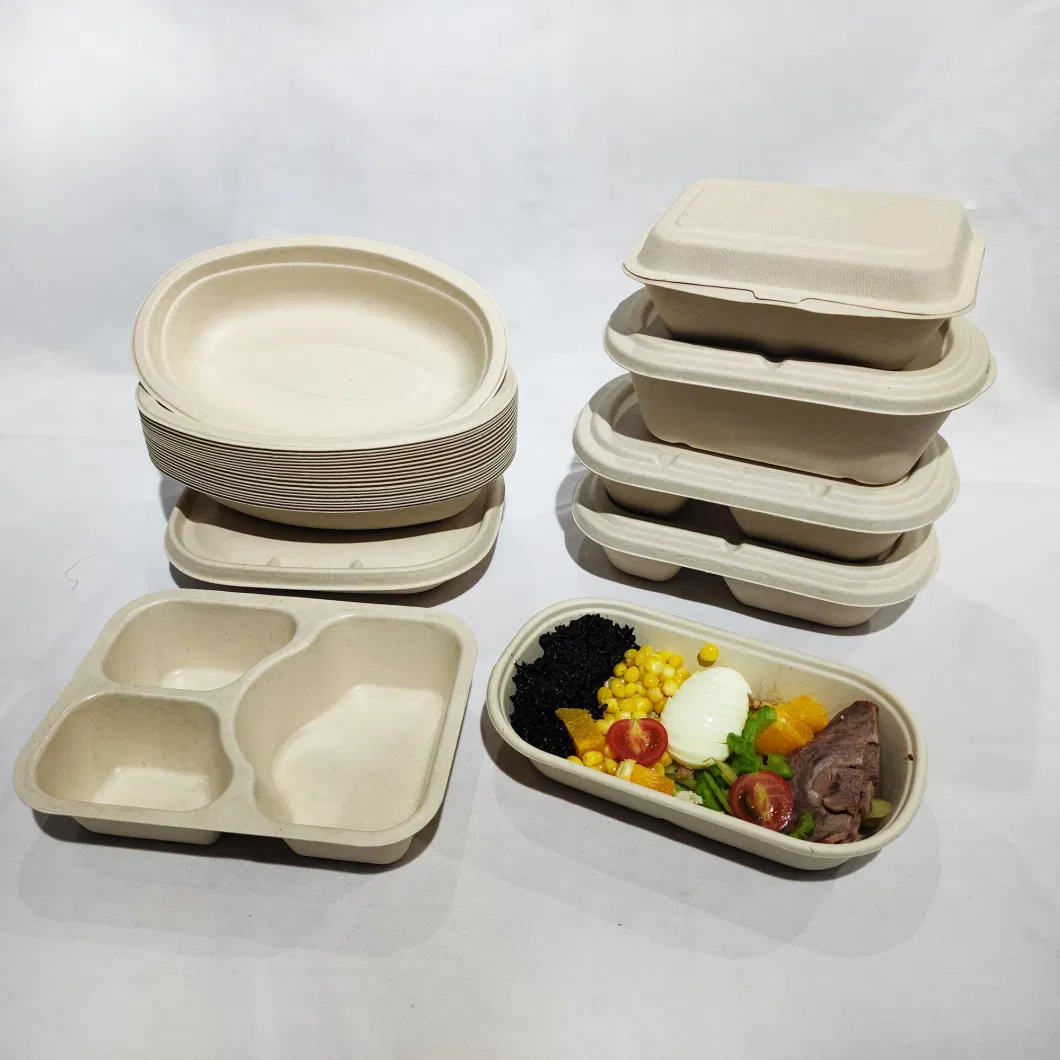 Bagasse Takeaway Food Box Factory Direct Supply Fast Food Packed Disposable Biodegradable Lunch Box Takeaway Food Containers