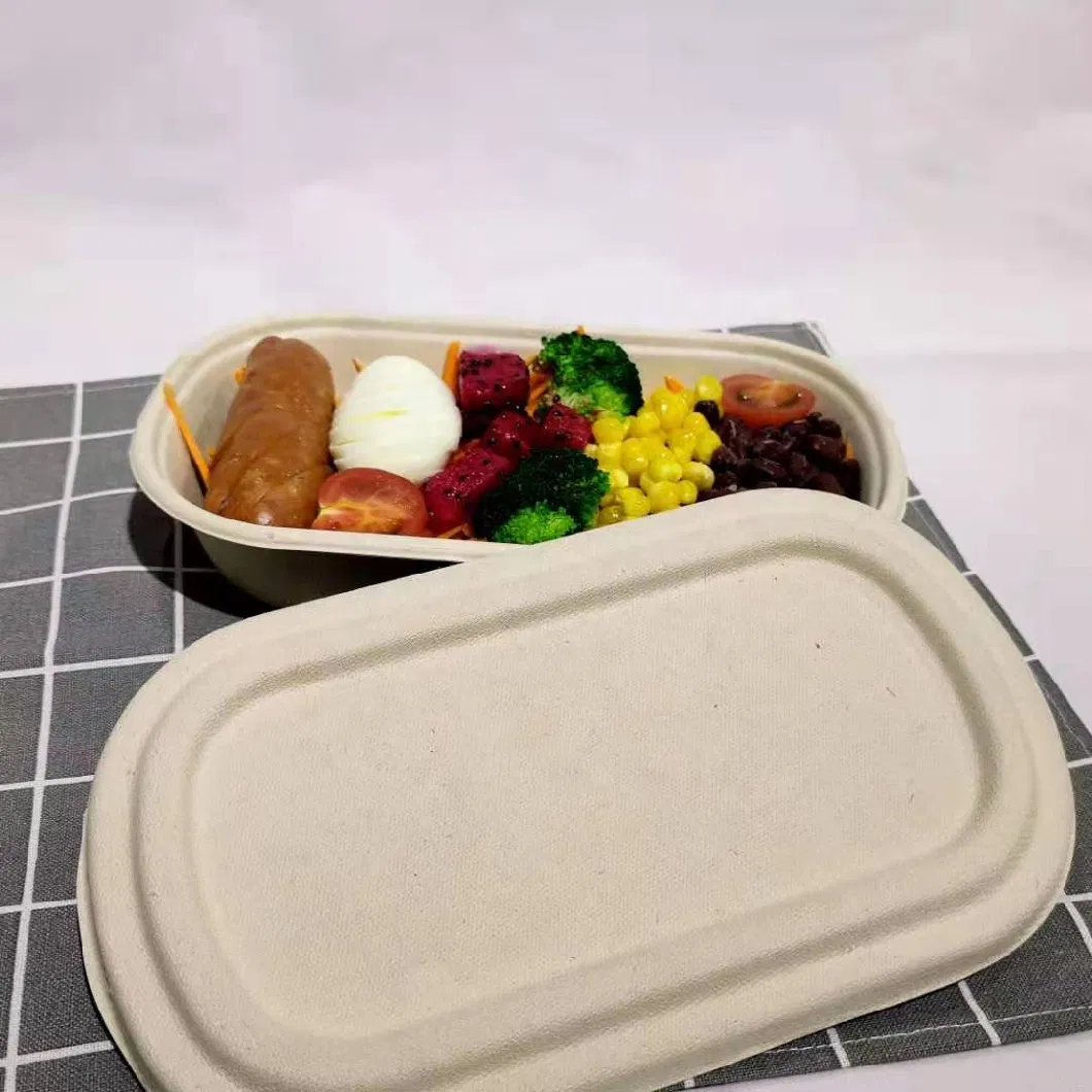 Bagasse Takeaway Food Box Factory Direct Supply Fast Food Packed Disposable Biodegradable Lunch Box Takeaway Food Containers