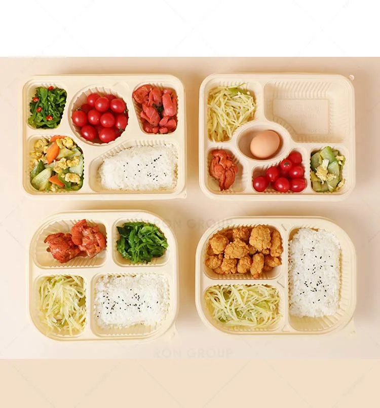 Thinning Biodegradable and Environmentally Friendly Takeout Meal Boxes for Packed Lunch Boxes