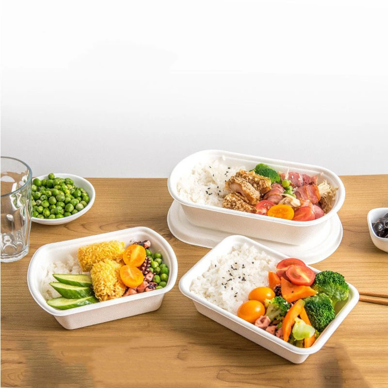 Bagasse Takeaway Food Box Factory Direct Supply Fast Food Packed Disposable Biodegradable Lunch Box Takeaway Food Containers