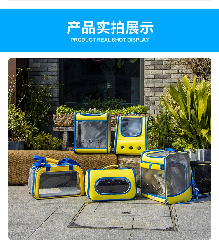 New Products 2024 Large Portable Transparent Pet Backpack for Outings