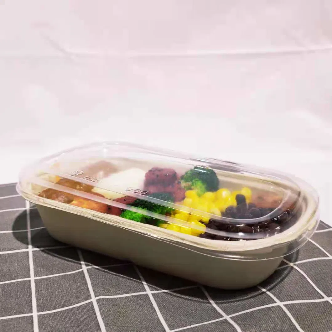 750ml-800ml Disposable Packed Lunch Box Capable of Heating and Refrigerating Green Healthy and Biodegradable Takeaway Box