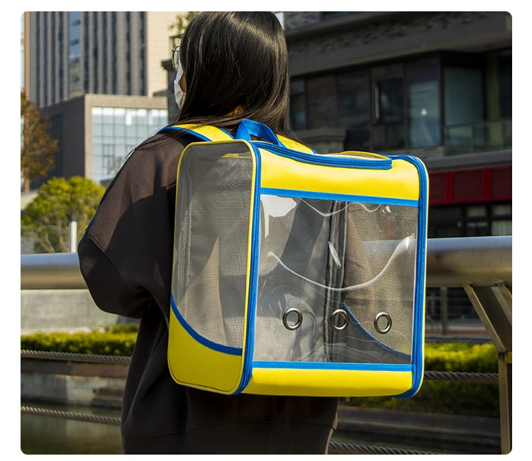 New Products 2024 Large Portable Transparent Pet Backpack for Outings