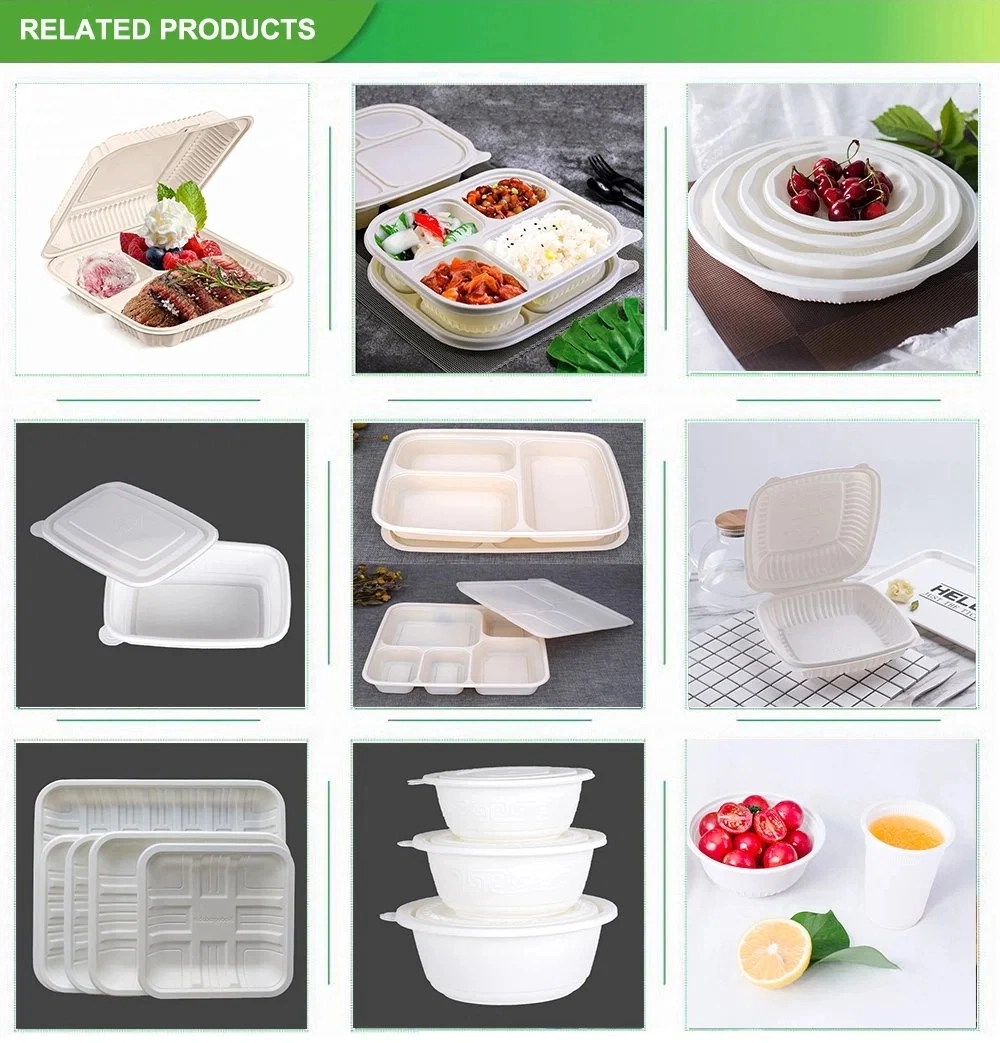 Four Compartment 1000ml White Takeout out Corn Starch Packed Lunch Box Disposable Container Takeaway Food Hot Meal Packaging