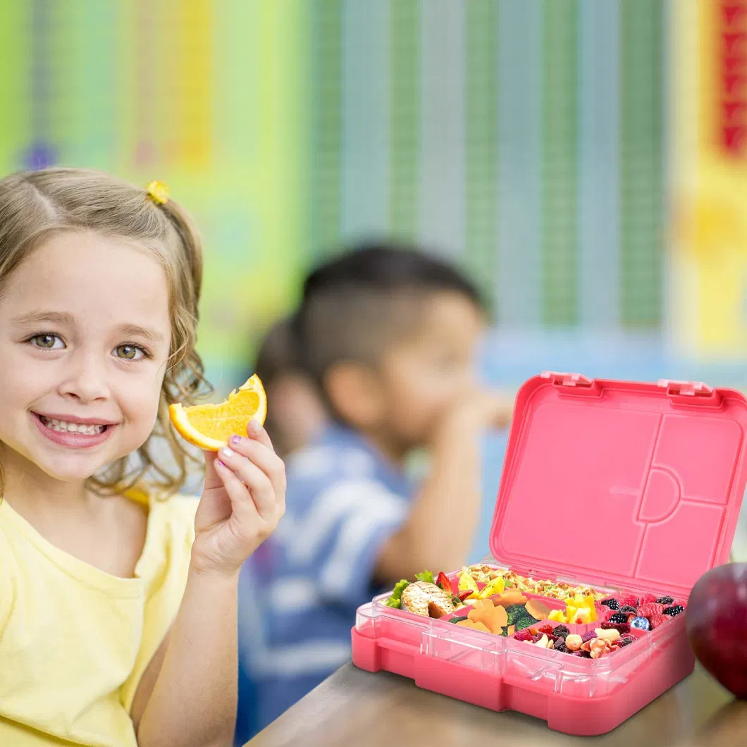 Aohea Lunch Box Adult with 4/6 Compartment Bento Containers Toddler