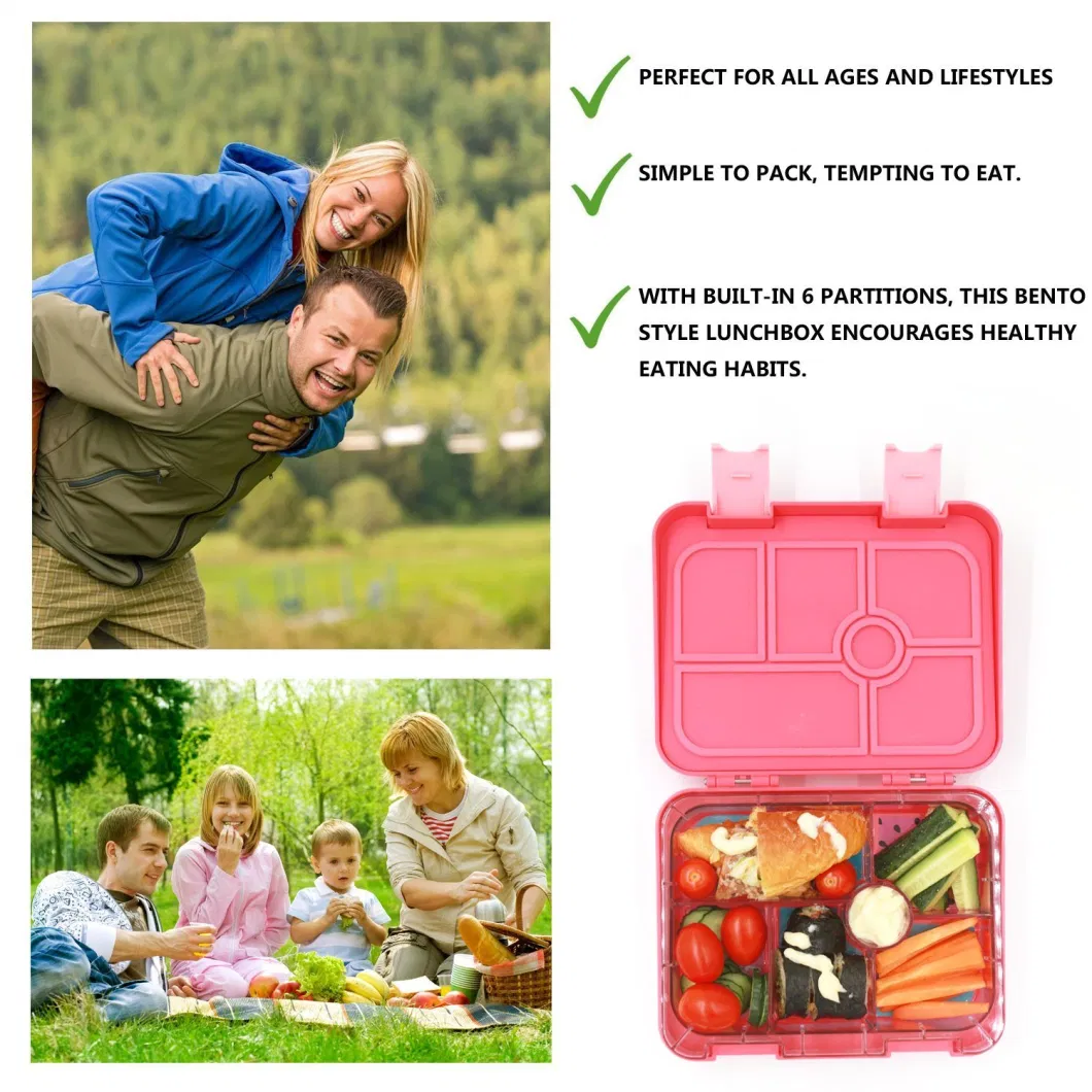 Aohea Bento Box Kids Classic 6 Compartment for Adults Leakproof Lunch Containers