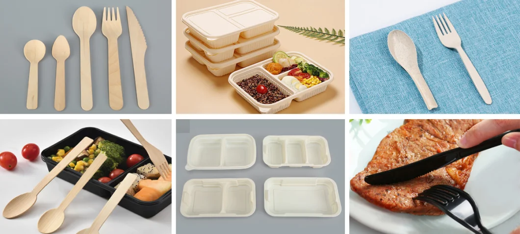 500ml Environmentally Friendly Disposable Corn Starch Two-Compartment Food Container Packed Lunch Box (TY-125)