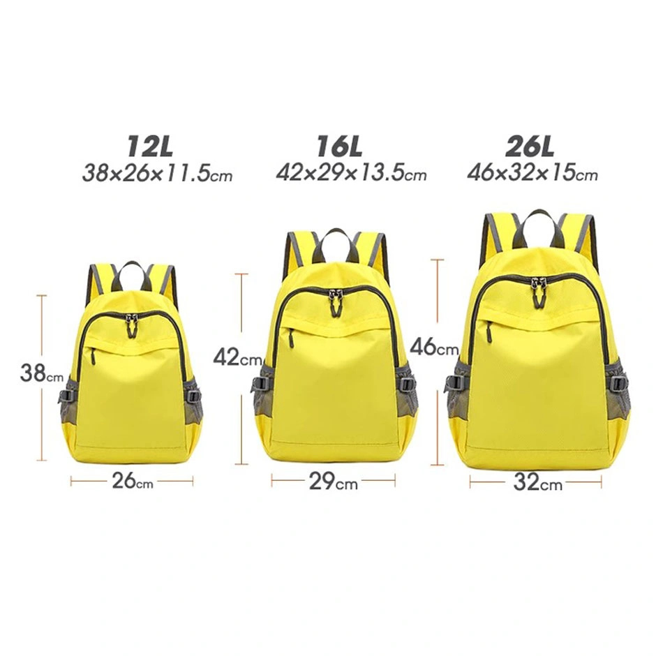 Best Selling Stylish Design Backpack for Children, Teenager and Adult with Size of L, M, S