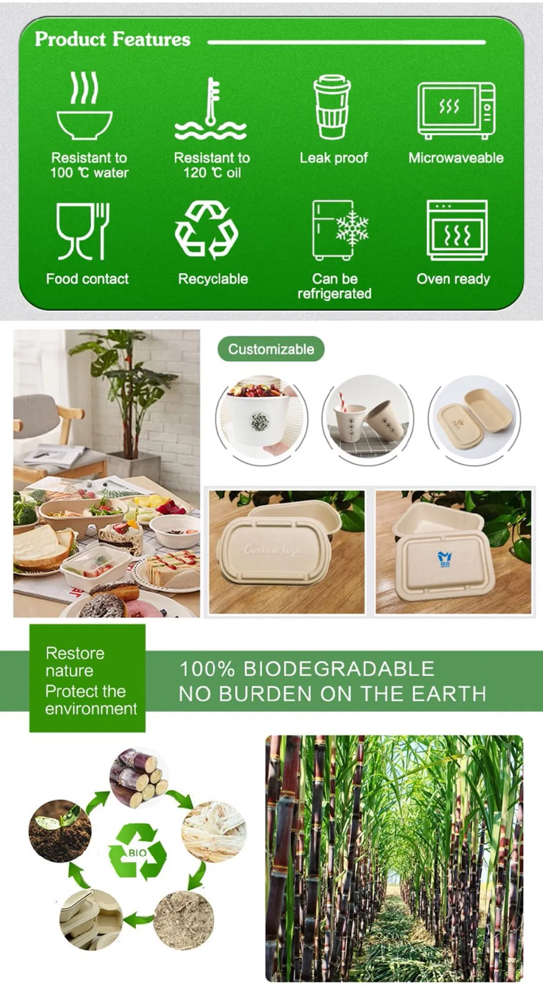 Bagasse Takeaway Food Box Factory Direct Supply Fast Food Packed Disposable Biodegradable Lunch Box Takeaway Food Containers