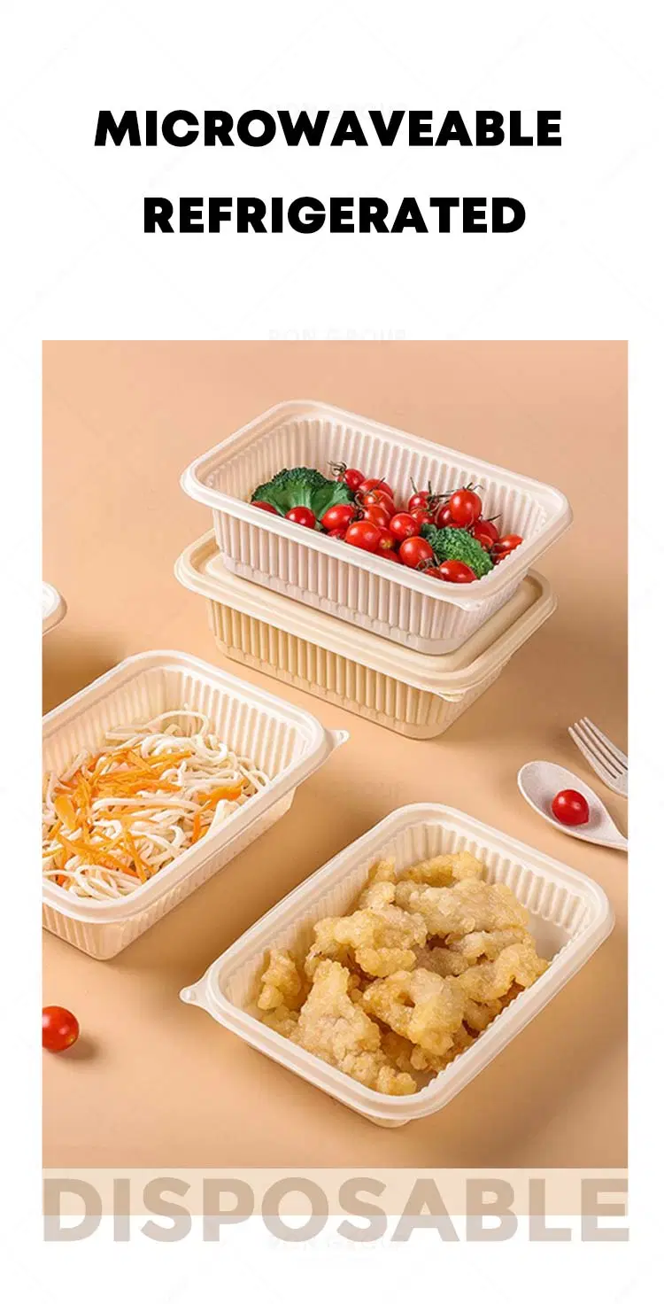 Thinning Biodegradable and Environmentally Friendly Takeout Meal Boxes for Packed Lunch Boxes