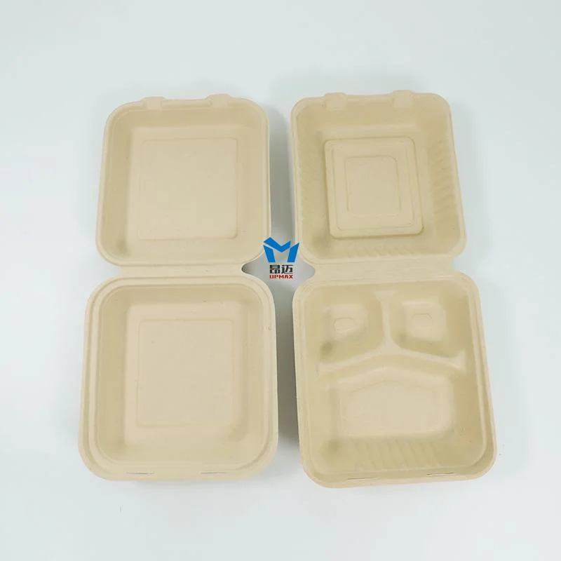 Factory Direct off-The-Shelf Disposable Biodegradable Fast Food Takeaway Packed Lunch Box Can Be Customized