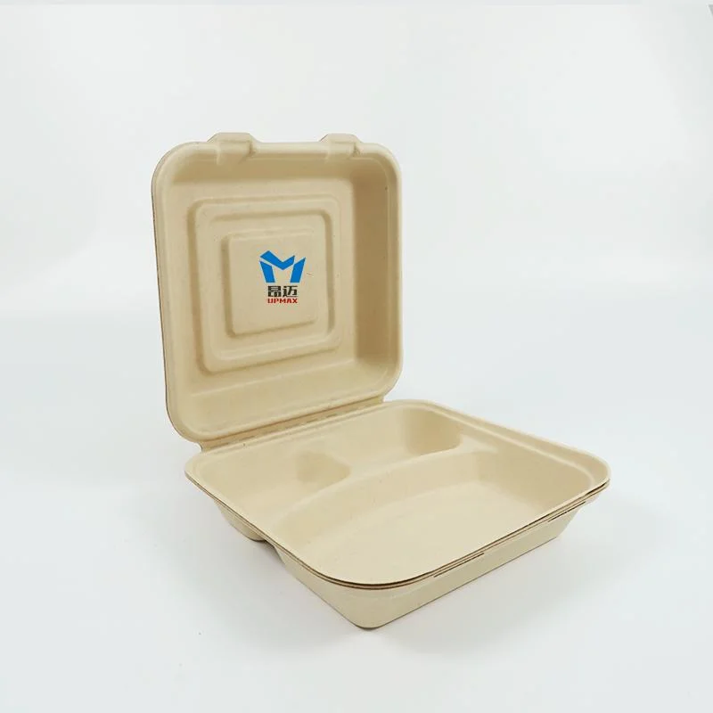 Factory Direct off-The-Shelf Disposable Biodegradable Fast Food Takeaway Packed Lunch Box Can Be Customized