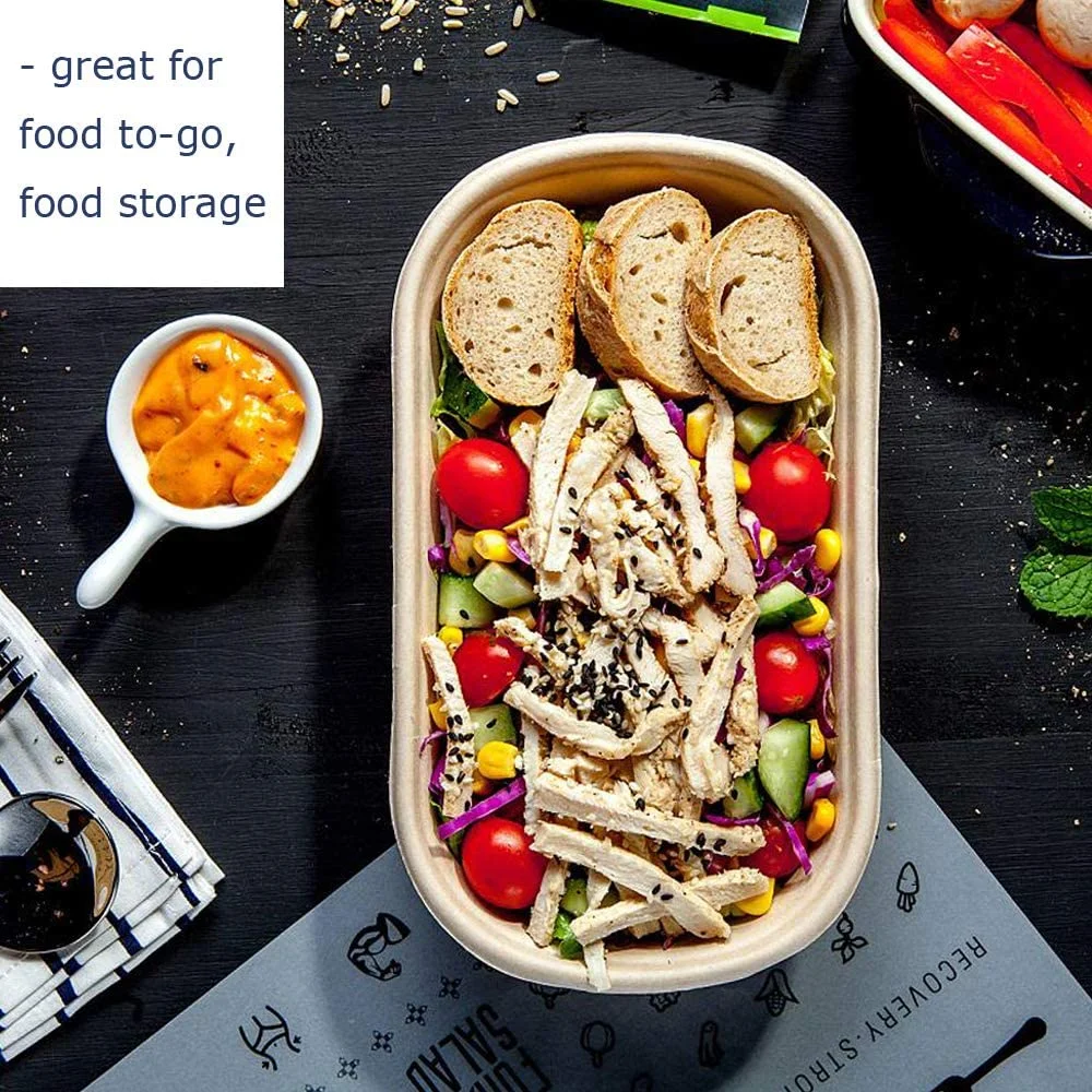 Bagasse Takeaway Food Box Factory Direct Supply Fast Food Packed Disposable Biodegradable Lunch Box Takeaway Food Containers