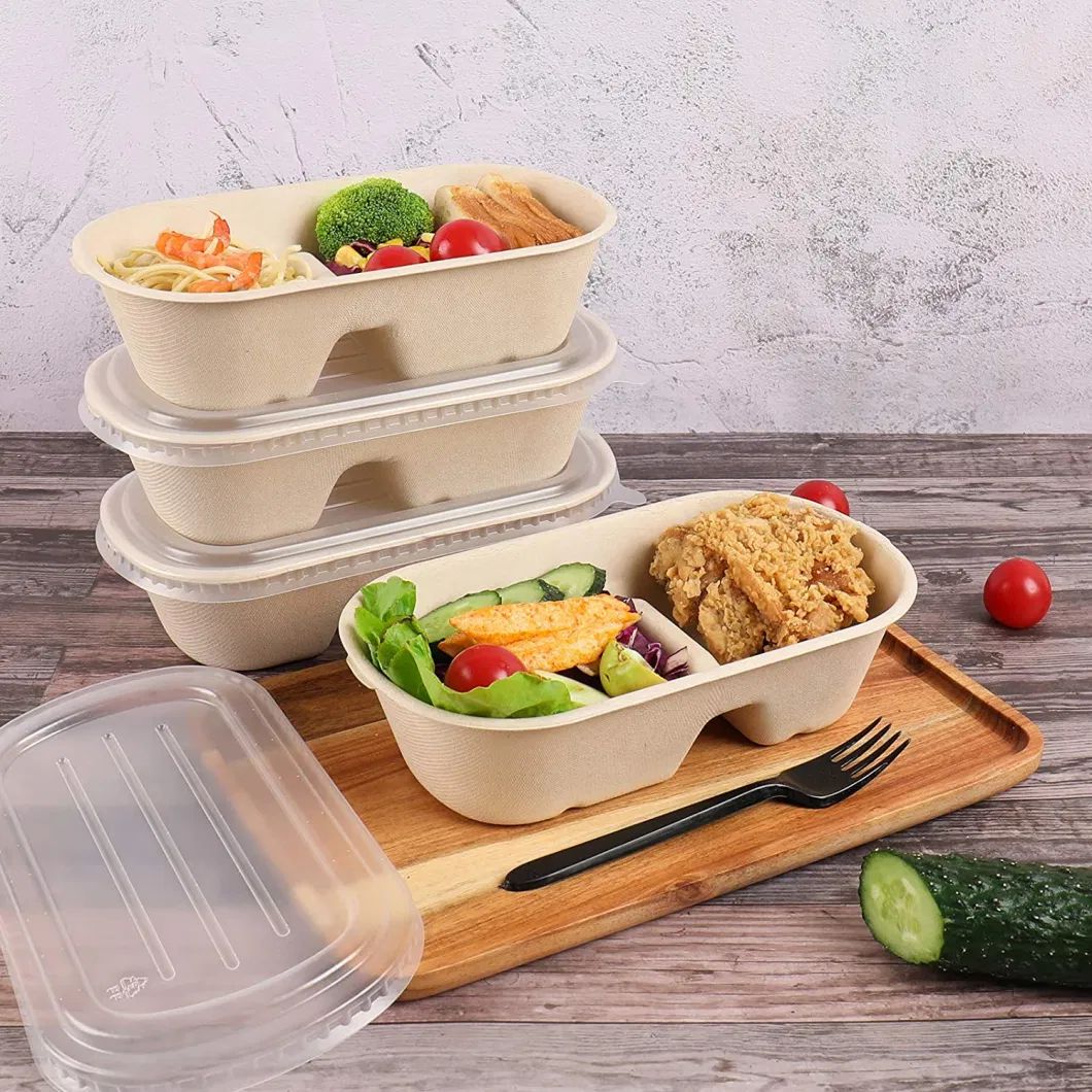 Bagasse Takeaway Food Box Factory Direct Supply Fast Food Packed Disposable Biodegradable Lunch Box Takeaway Food Containers