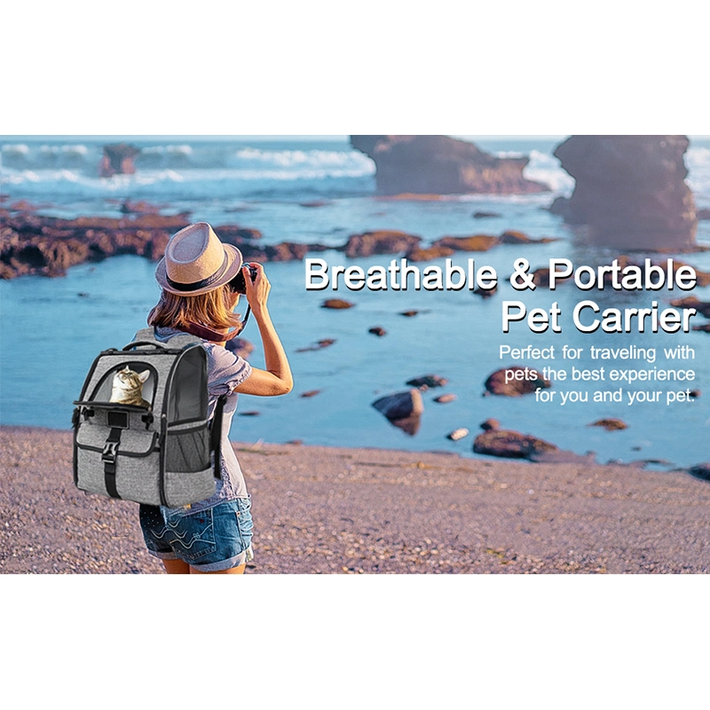 Safety Pet Travel Backpacks Ventilated Design Breathable Comfortable Dog Cats Carrier Backpack