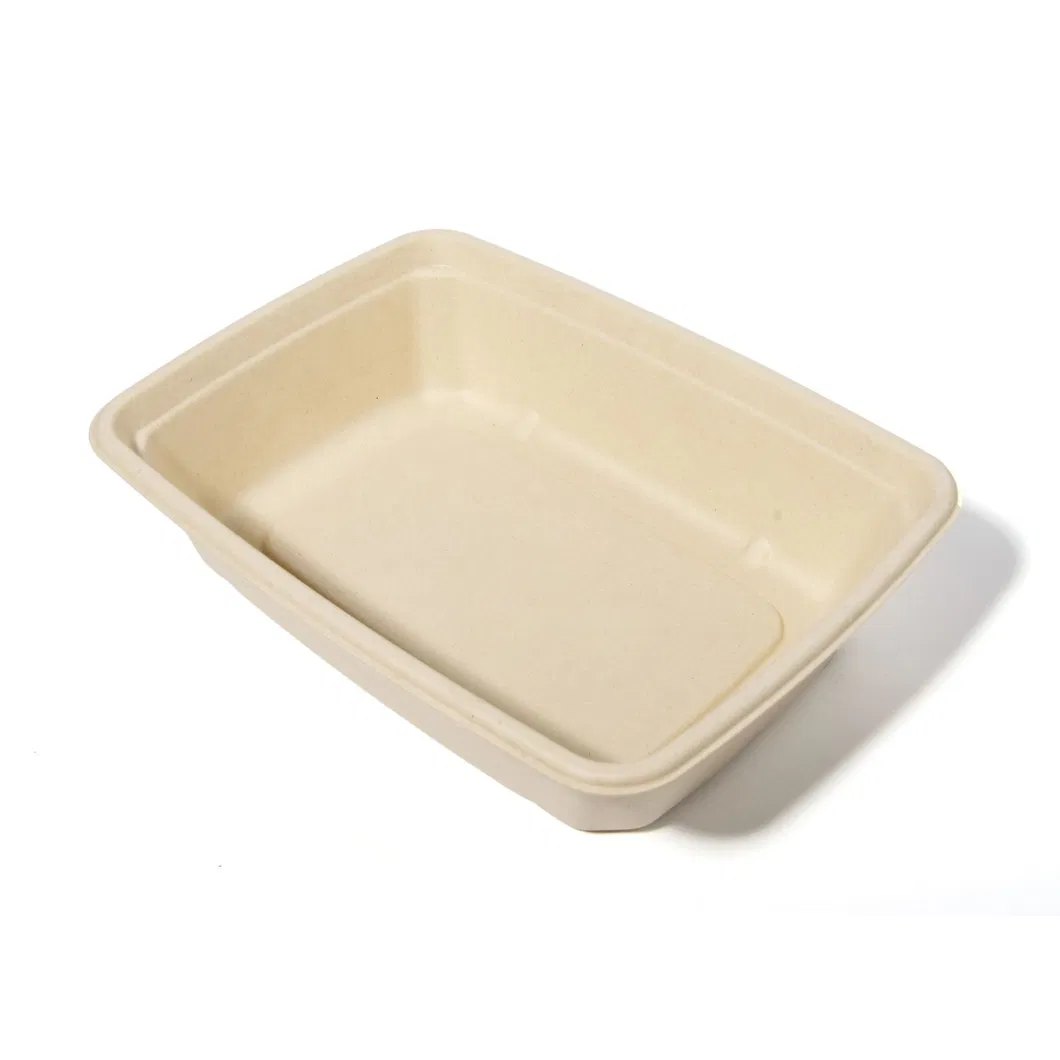 9 Inch Disposable Lunch Box Degradable Food Container Bagasse Carton with Lid Packed Takeaway Box (Q-28)