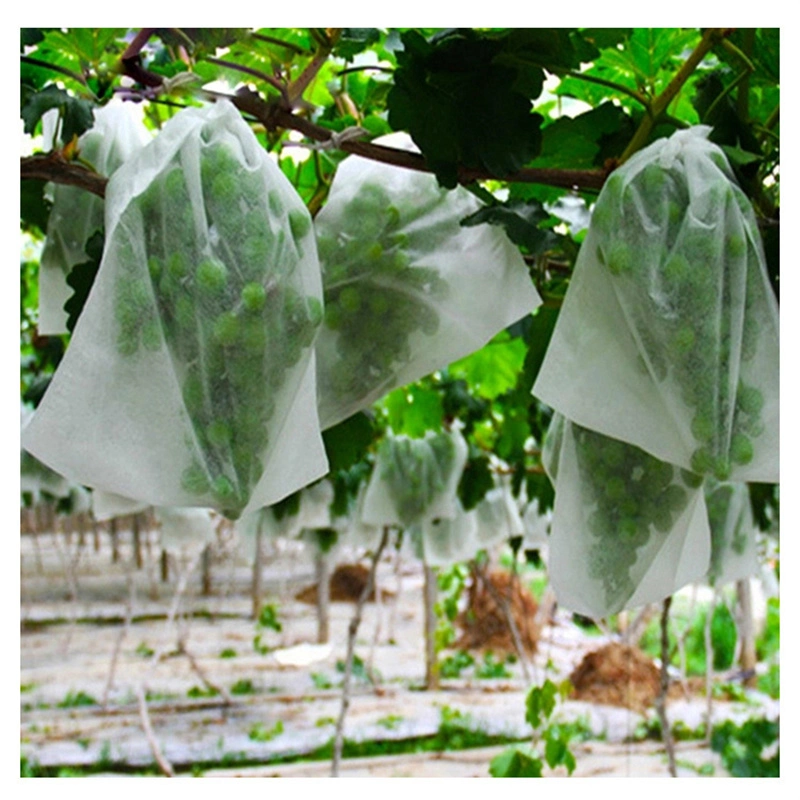 White 20*30cm 30g Fruit and Vegetable Protective Nonwoven Bag Agriculture Fruit Bag