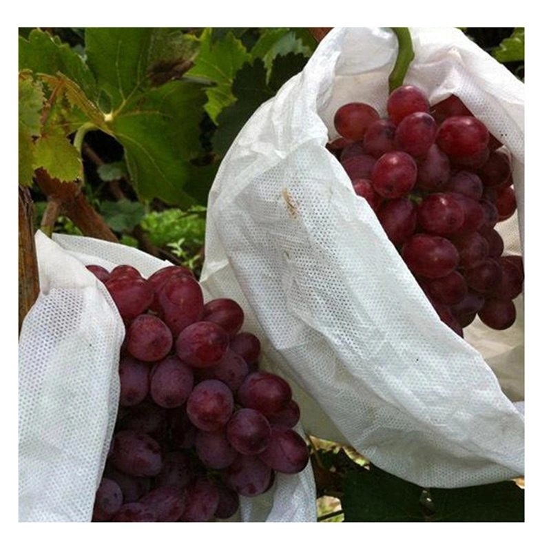 White 20*30cm 30g Fruit and Vegetable Protective Nonwoven Bag Agriculture Fruit Bag