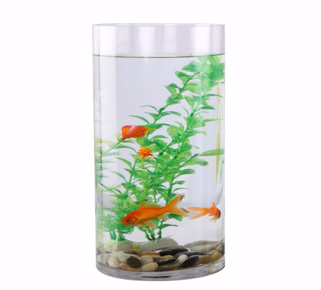 Wholesale Transparent Acrylic Fish Tank Cylinder Aquarium