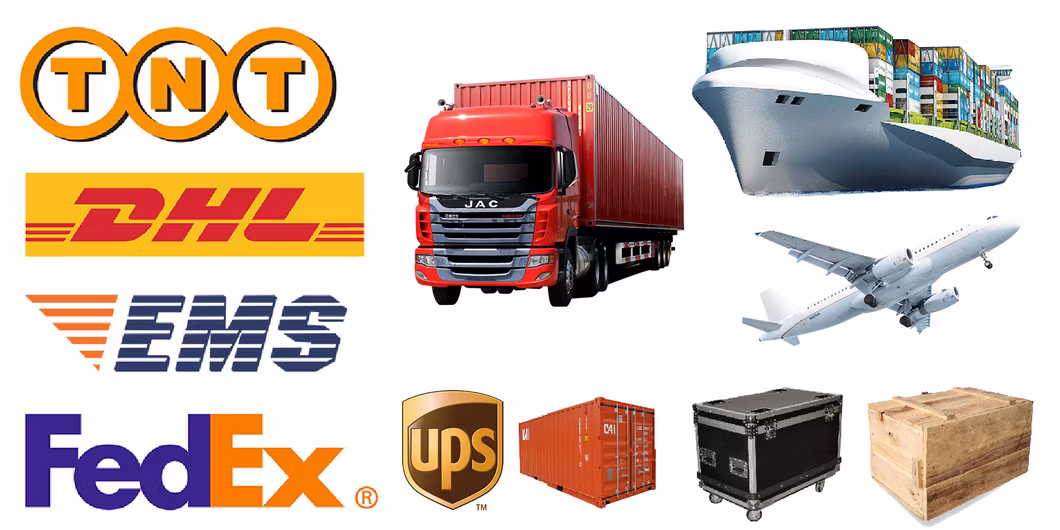 Special Shaped LED Displays Indoor Outdoor Creative Design Full Color High Brightness Screen for Advertising