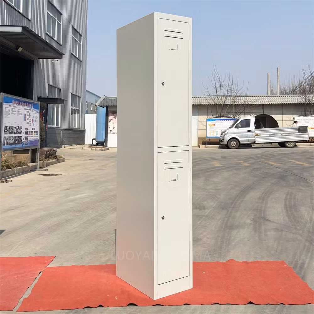 Fashion Steel Storage Cupboard for 2/4/6 Doors Metal Locker