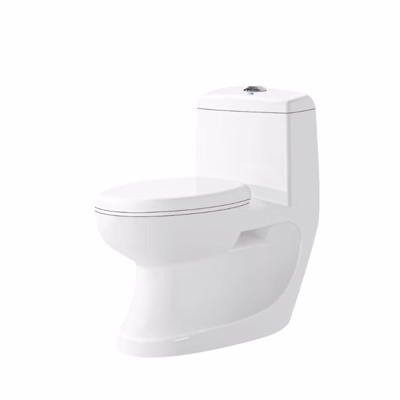 Europe Market Floor Mounted White Ceramic Sanitary Wares Toilet Water Closet