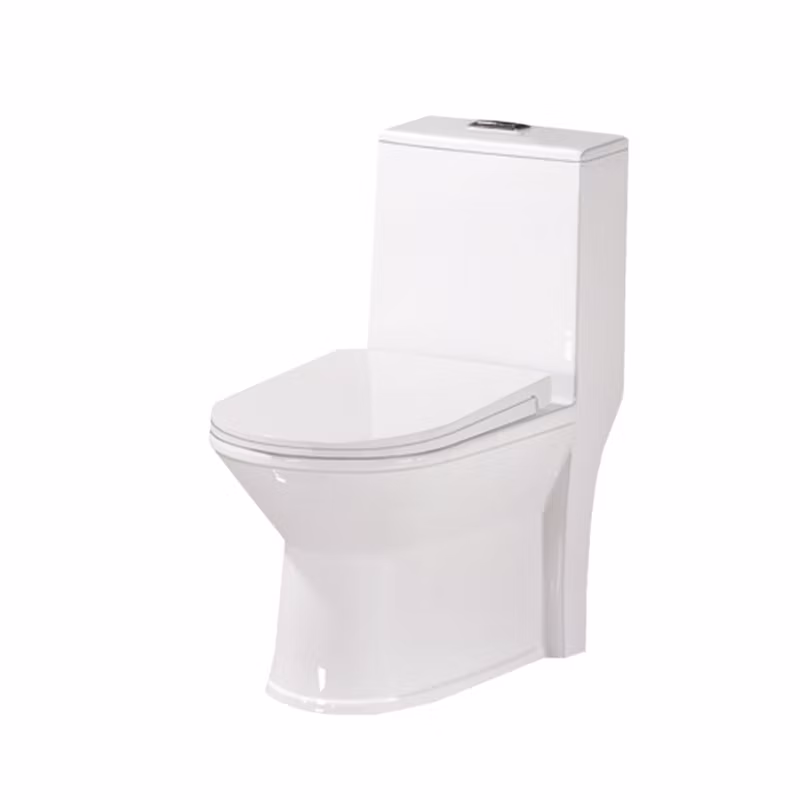 Europe Market Floor Mounted White Ceramic Sanitary Wares Toilet Water Closet