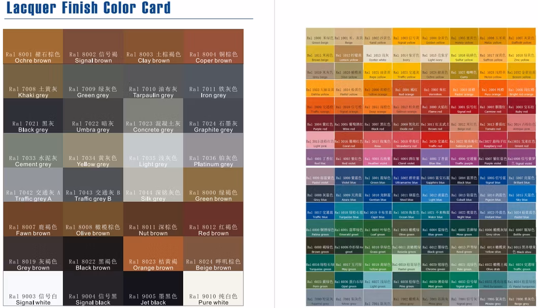 Walk-in Closet Spacious Lacquer Finish for Bedroom Customizable Layout Wardrobe