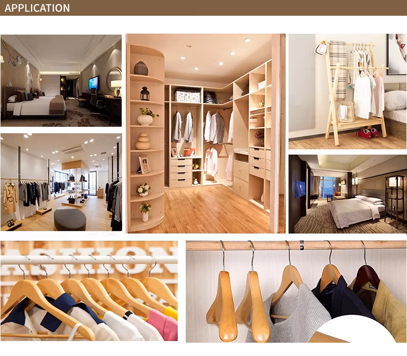 Fashionable Suede, Microfiber, Leather Hanger Set for Premium Wardrobe Organization