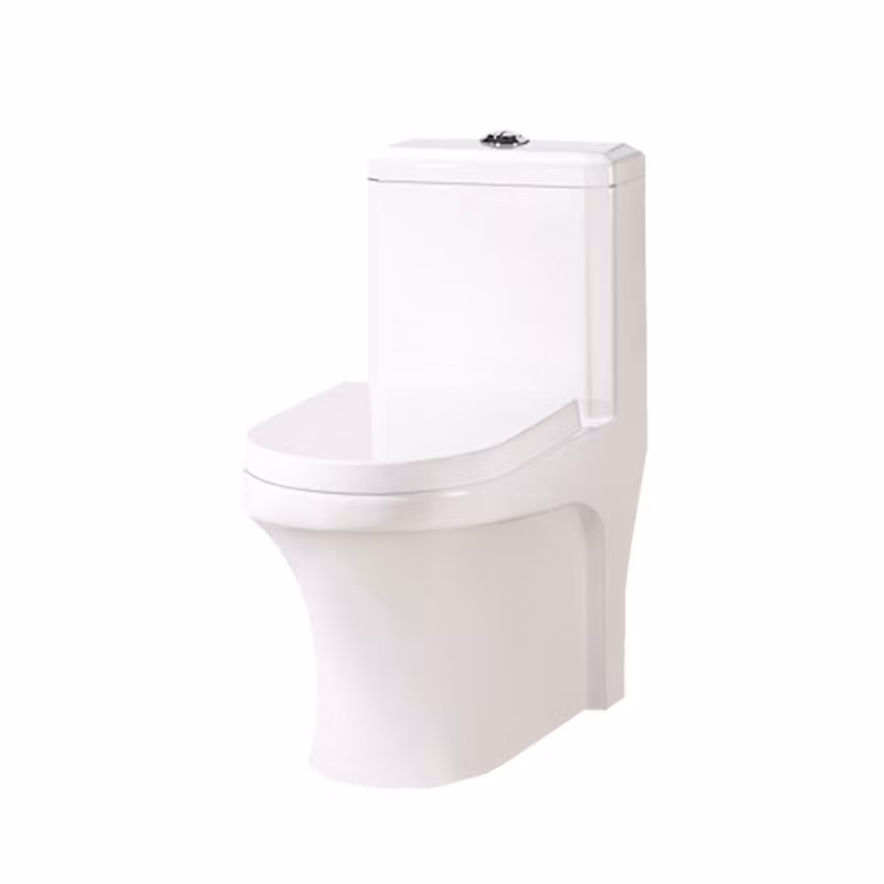 Europe Market Floor Mounted White Ceramic Sanitary Wares Toilet Water Closet