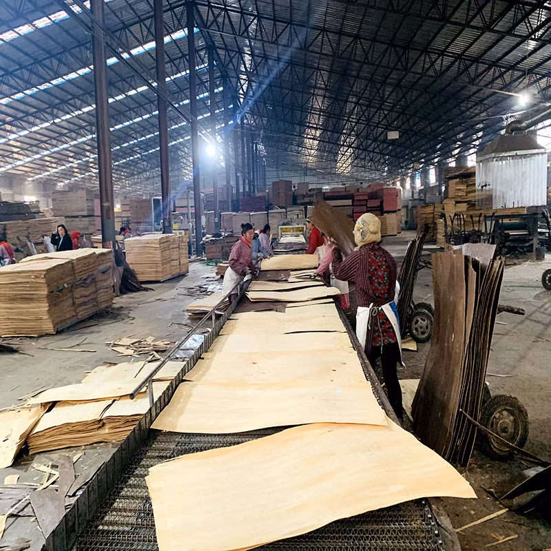 Poplar Core Bintangor Okoume Pencil Cedar Commercial Plywood for Furniture and Construction