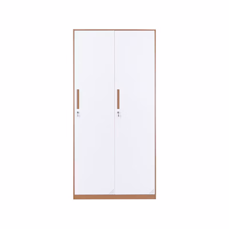 Double Door Steel Wardrobe Metal Solid Steel Design Locker Wardrobe