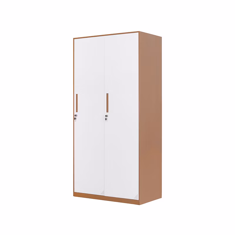 Double Door Steel Wardrobe Metal Solid Steel Design Locker Wardrobe