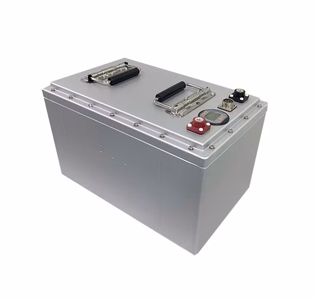 Bestgo Wholesale Deep Cycle Lithium Ion Batteries 24V 48V 100ah 200ah Li Ion LiFePO4 Solar RV Marine Energy Storage Iron Phosphate Battery Pack