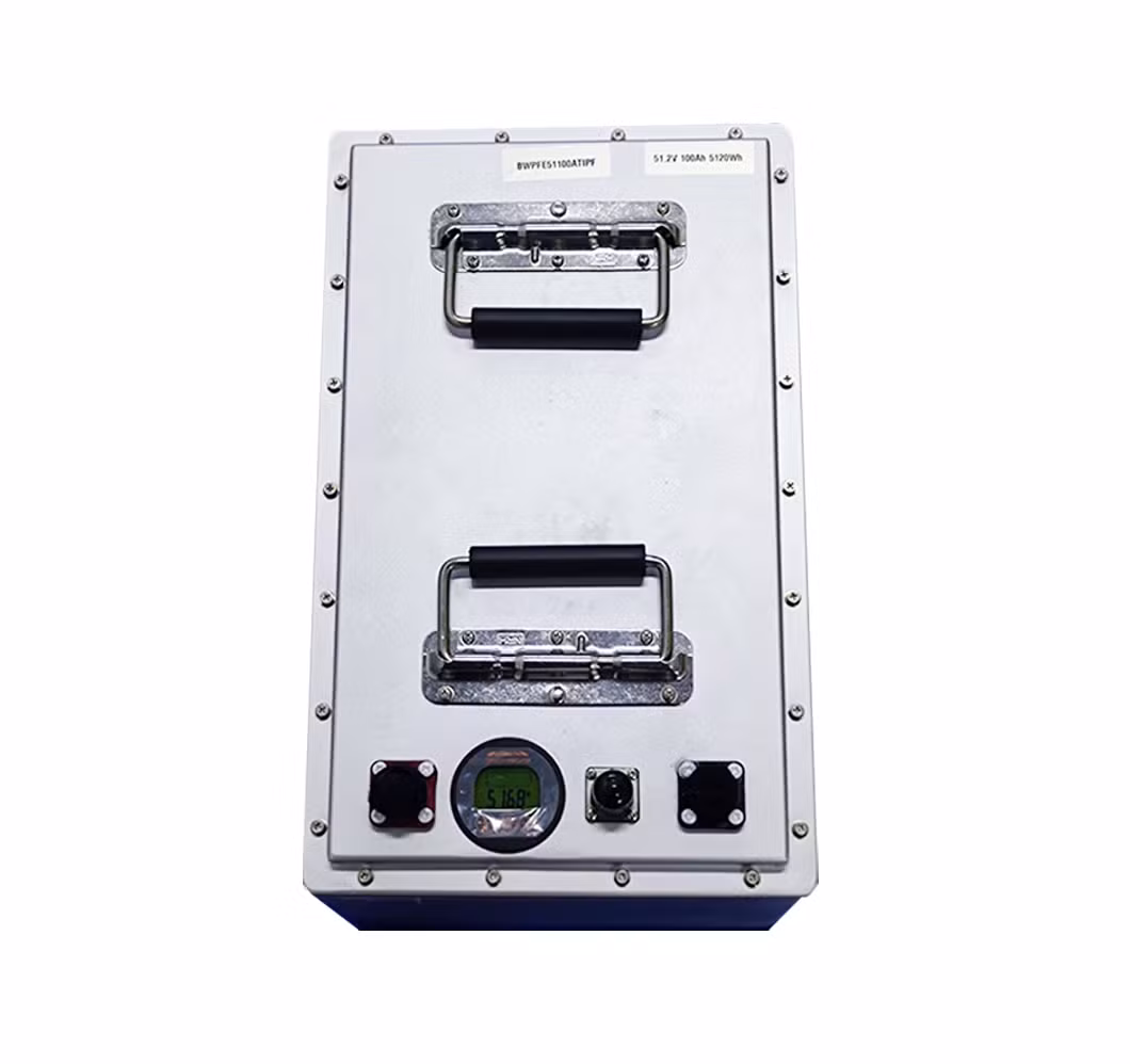 Bestgo Wholesale Deep Cycle Lithium Ion Batteries 24V 48V 100ah 200ah Li Ion LiFePO4 Solar RV Marine Energy Storage Iron Phosphate Battery Pack