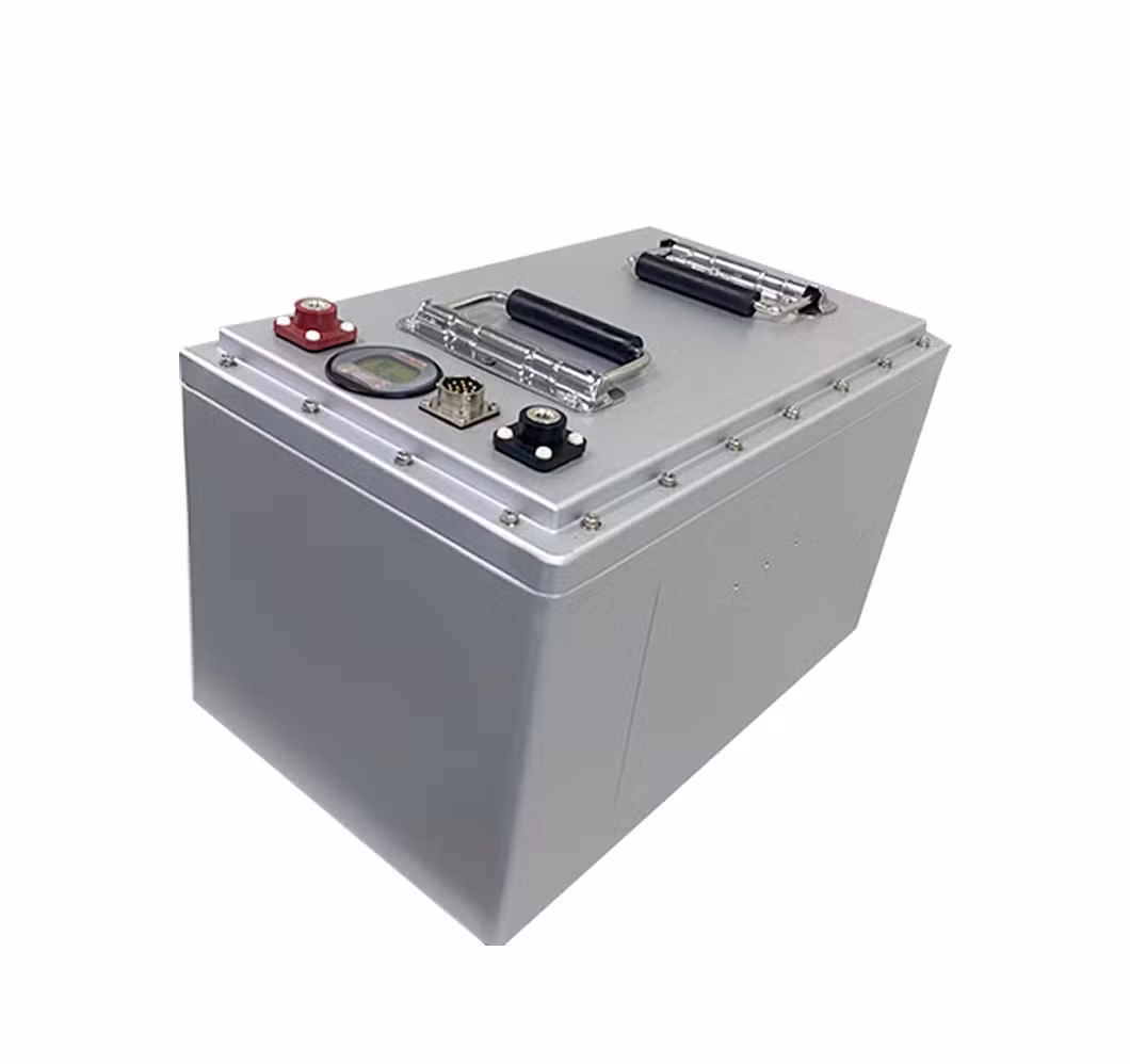 Bestgo Wholesale Deep Cycle Lithium Ion Batteries 24V 48V 100ah 200ah Li Ion LiFePO4 Solar RV Marine Energy Storage Iron Phosphate Battery Pack