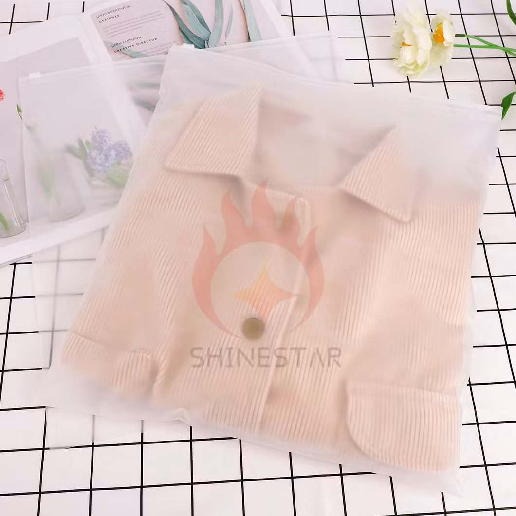 Clear Package Bag T-Shirt Transparent Frosted Plastic packaging Bags with Zip Lock Used for Underwear