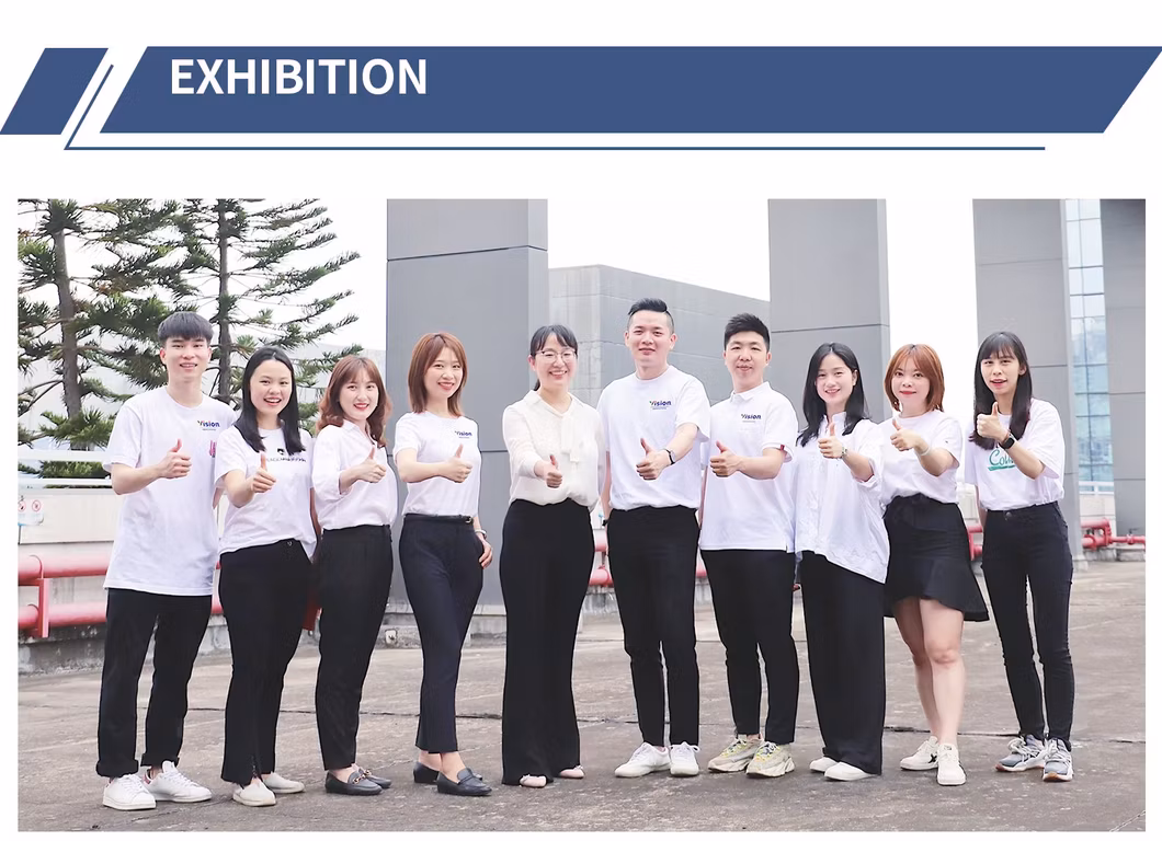 Pet Dtf Film Roll A3 A4 30cm 33cm 60 Cm Fot Dtf Print Printing