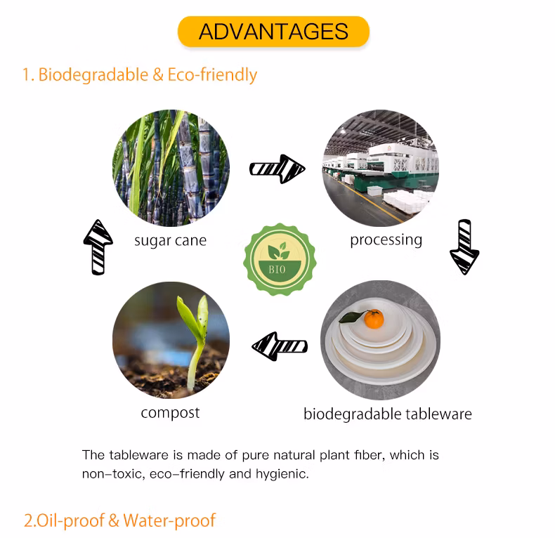 Disposable Bagasse Sugarcane Clamshell Box Biodegradable Food Packaging