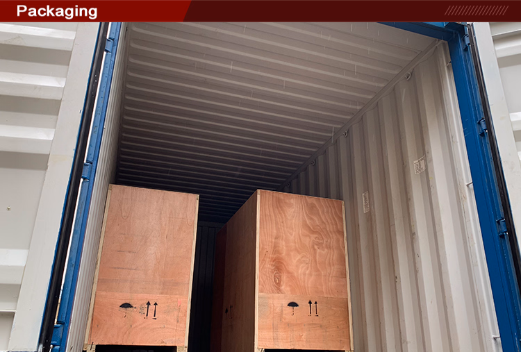 Meat Vacuum Packaging with Flow-VAC System