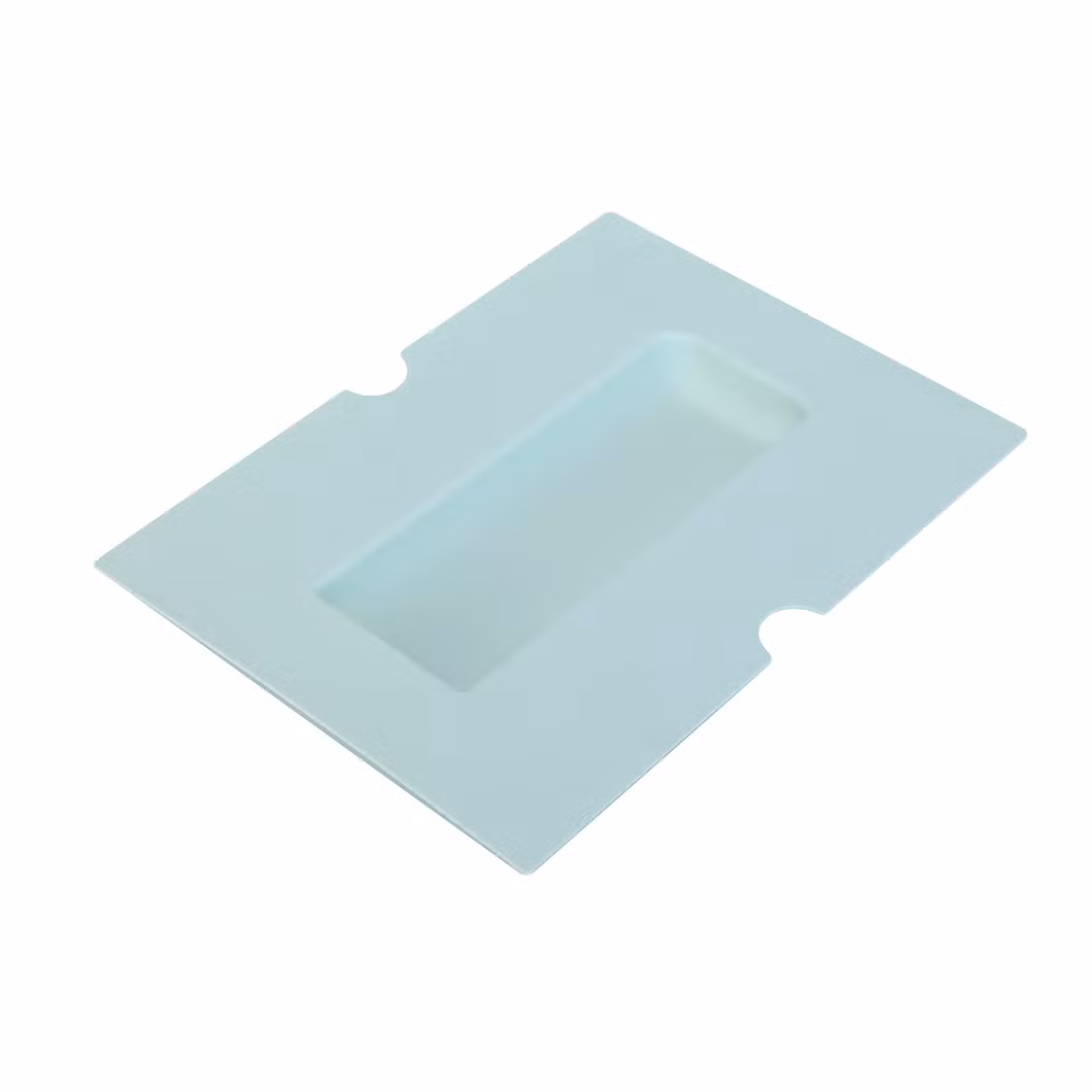 Plastic Blister Food Packaging Fruit Clamshell Packaging with Hinged Lid