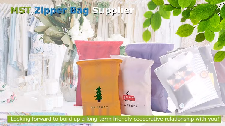 Customized Transparent Printed Biodegradable Underwear Frosted Zip Lock Bag PVC Clothing Bikini Packaging