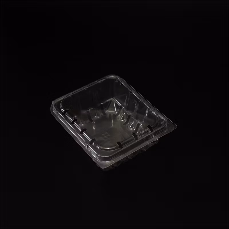Clear Plastic Clamshell Packaging for Food Display