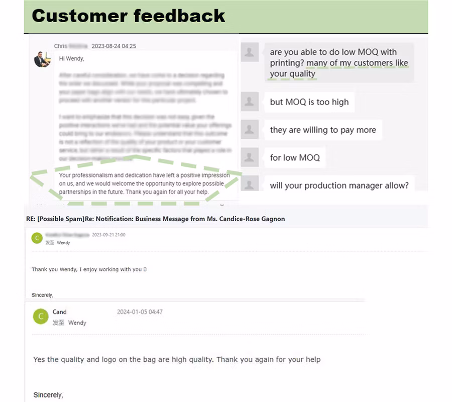 Biodegradable Craft Packaging Coffee Takeaway Paper Carrier Bag