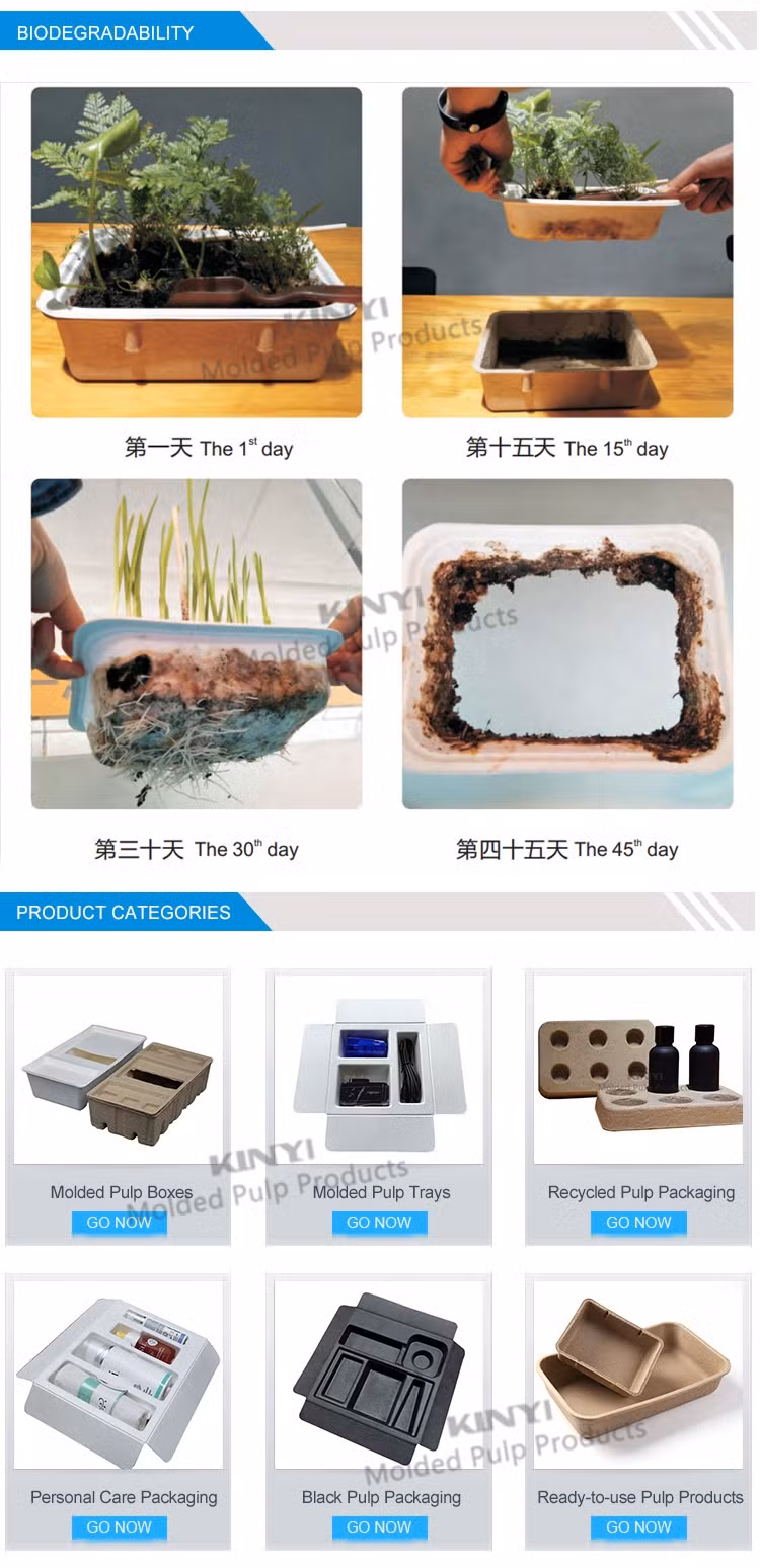 Custom Biodegradable Bagasse Pulp Tray Recyclable Paper Pulp Molding Eyeglasses Packaging Case