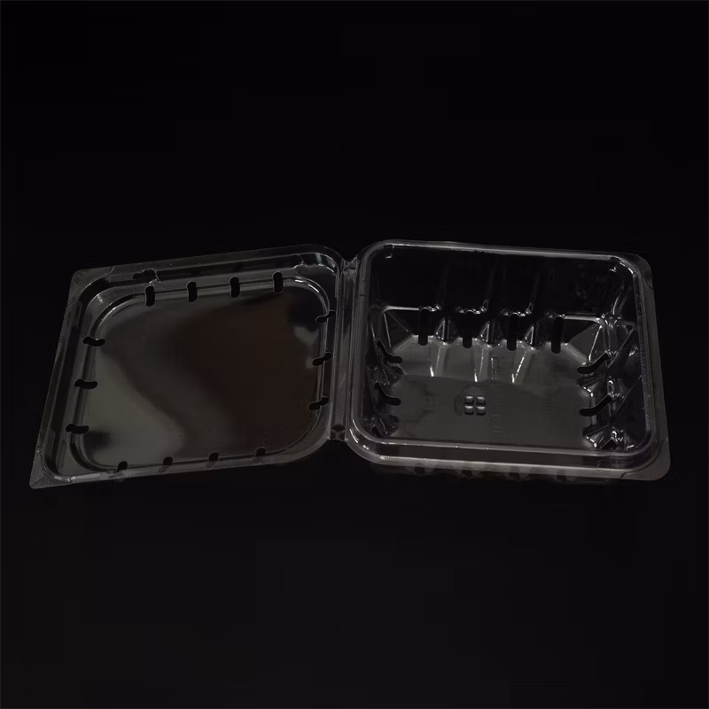 Clear Plastic Clamshell Packaging for Food Display