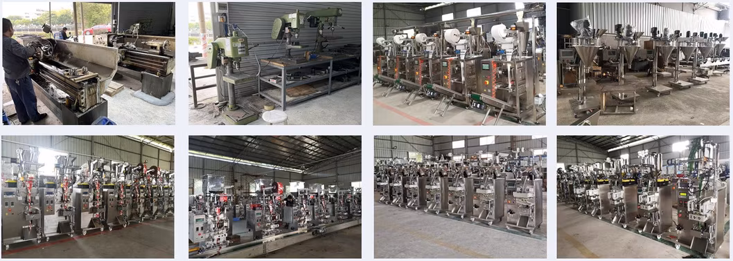 High Efficiency Tablet Packaging Multi-Functional Packaging Machine Tablet Feeding Packaging Seal