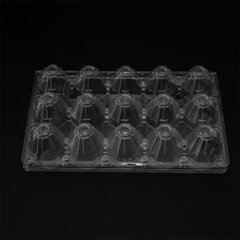 Clear Plastic Clamshell Packaging for Food Display