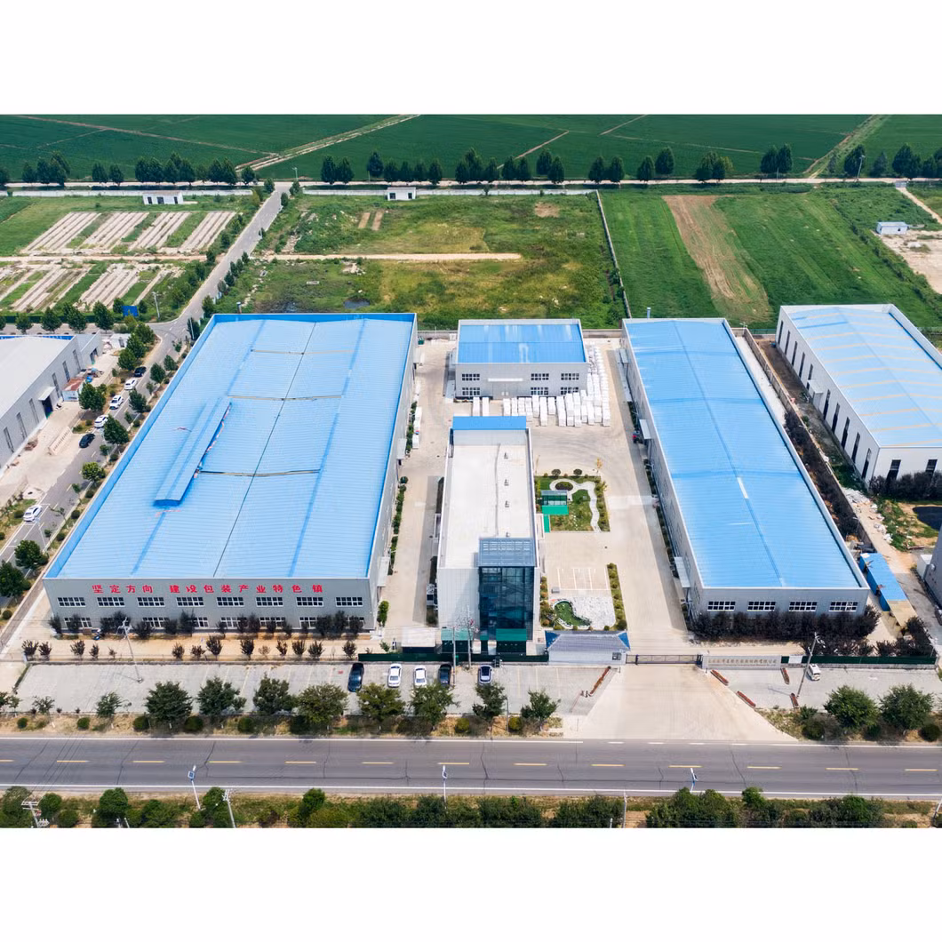 Reliable Lightweight Plastic Bags for Food Packaging Fresh Produce