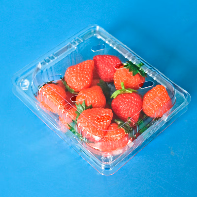 Plastic Fruit Packaging for Strawberry Disposable Pet Food Packaging